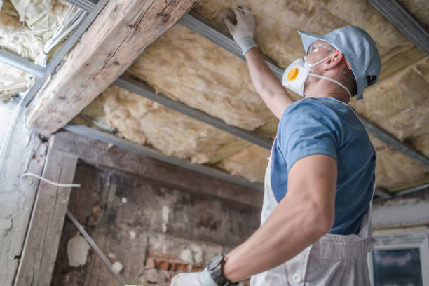 Best Insulation Maintenance and Repair in Lindale, TX