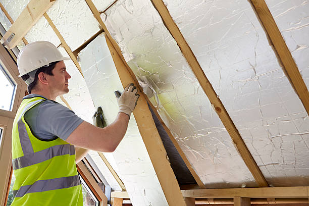 Best Insulation Installation Services in Lindale, TX